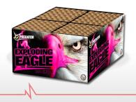 Zware compound cakeboxen met diverse uitwerkingen zijn voordelig en eenvoudig online te bestellen bij Xena Vuurwerk in Ede
